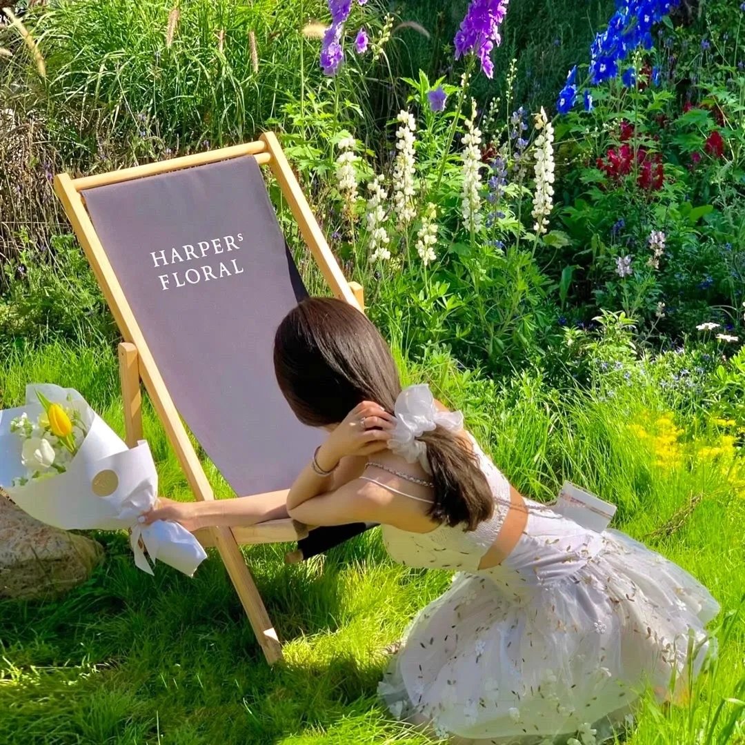 致我的陌生恋人